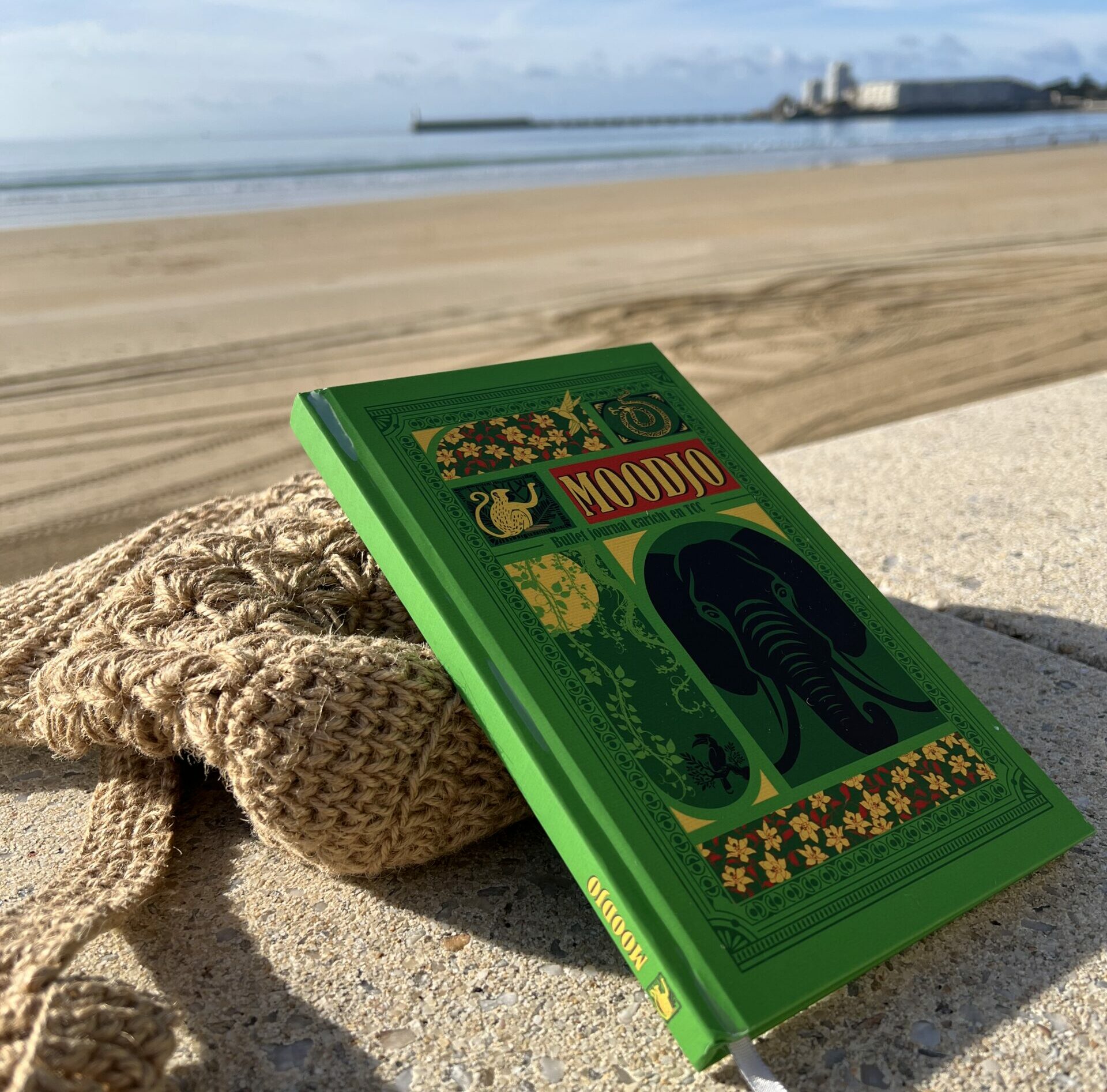 Carnet Moodjo posé face à la mer, outil d’observation inspiré des thérapies cognitivo-comportementales